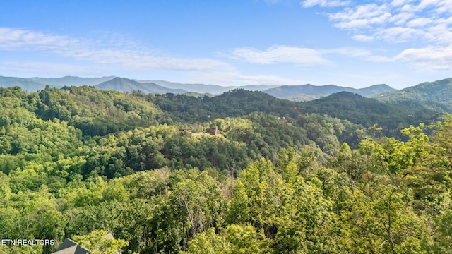 LOT47 Spurling Rd, Sevierville, TN 37862