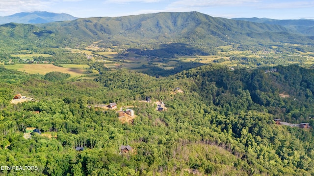LOT47 Spurling Rd, Sevierville, TN 37862