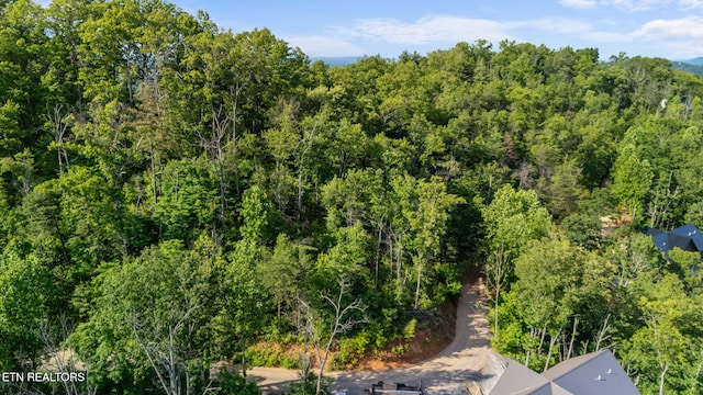 LOT47 Spurling Rd, Sevierville, TN 37862