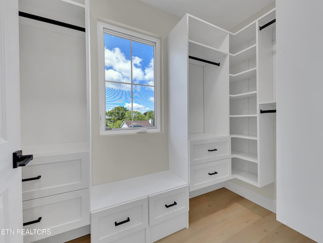 7747 Drawbridge Ct, Powell, TN 37849 - spacious closet featuring light wood-style flooring