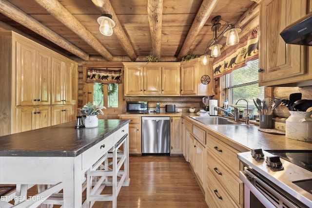 3509 Ginseng Way, Sevierville, TN 37862 - kitchen with stainless steel appliances, a sink, wooden ceiling with exposed beams, plenty of natural light, and dark wood-style flooring