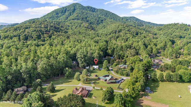 3509 Ginseng Way, Sevierville, TN 37862 - aerial overview of property's location with a forest and a mountainous background