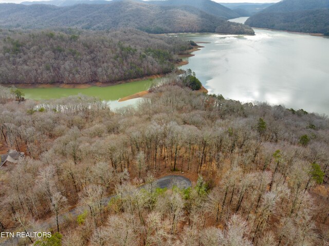 Mystic Star Dr, New Tazewell, TN 37825