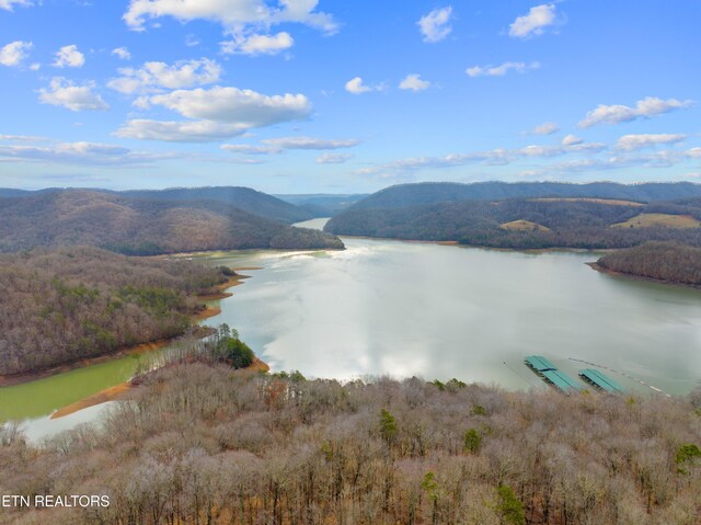 Mystic Star Dr, New Tazewell, TN 37825