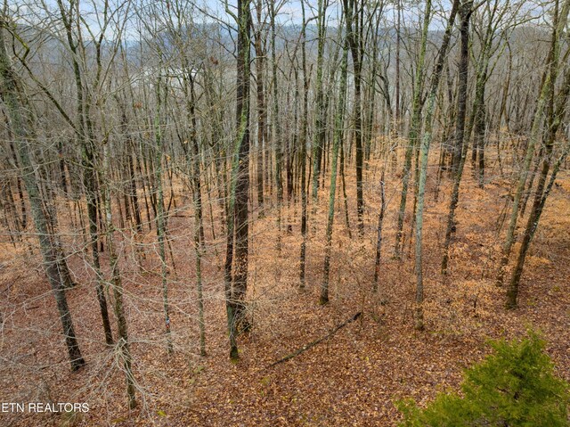 Mystic Star Dr, New Tazewell, TN 37825