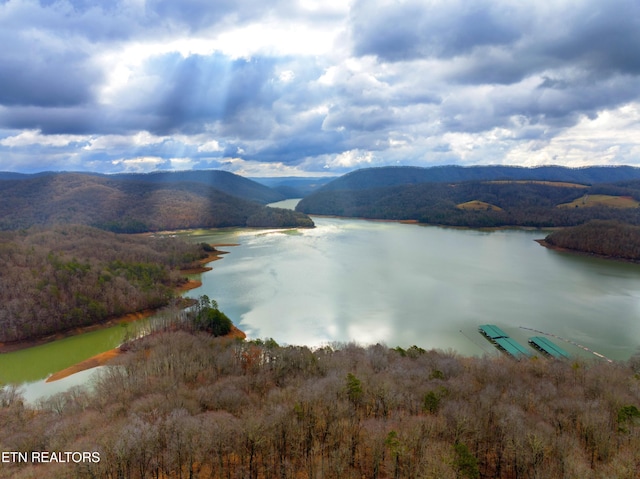 Mystic Star Dr, New Tazewell, TN 37825