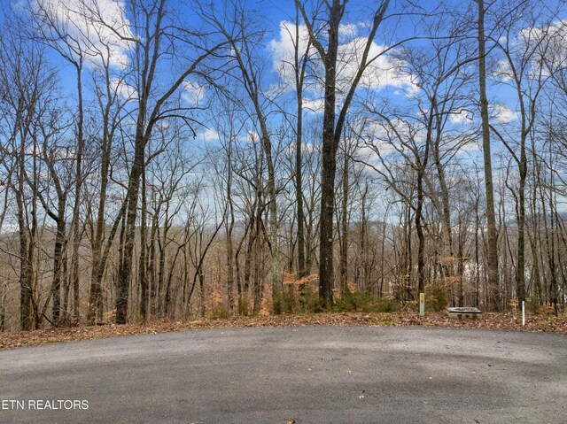 Mystic Star Dr, New Tazewell, TN 37825