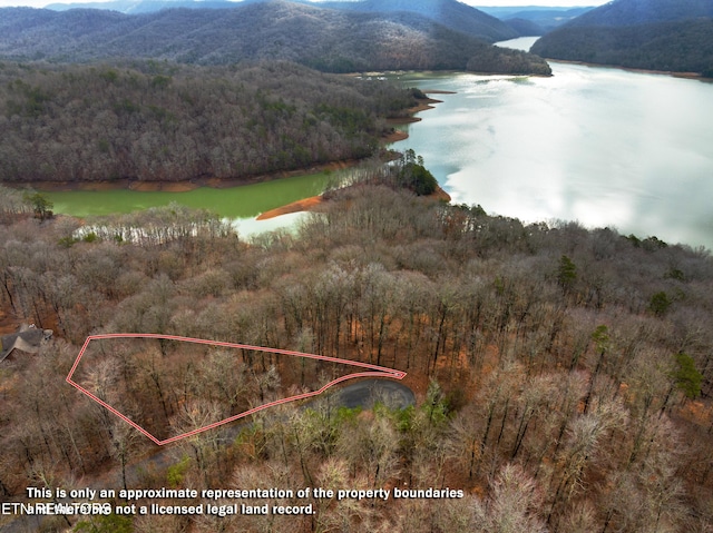 Mystic Star Dr, New Tazewell, TN 37825
