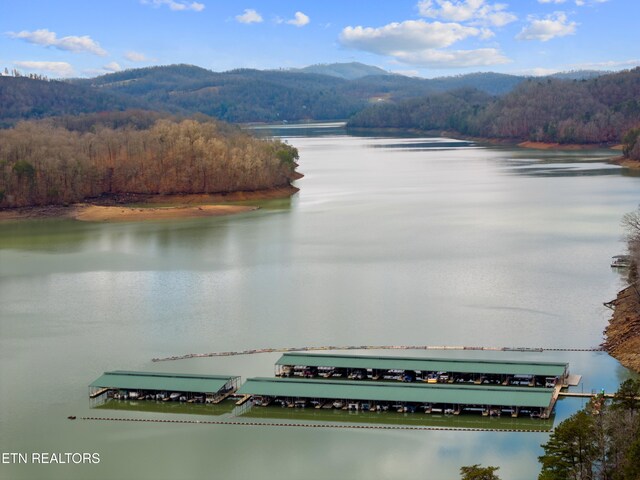 Mystic Star Dr, New Tazewell, TN 37825