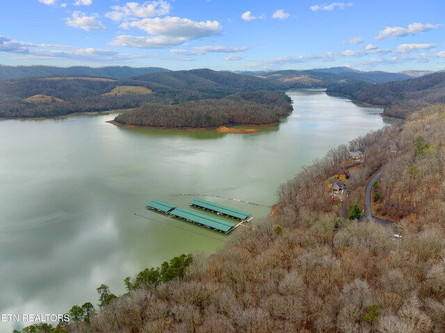 Mystic Star Dr, New Tazewell, TN 37825
