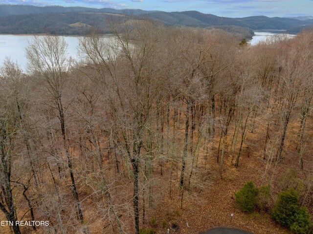Mystic Star Dr, New Tazewell, TN 37825