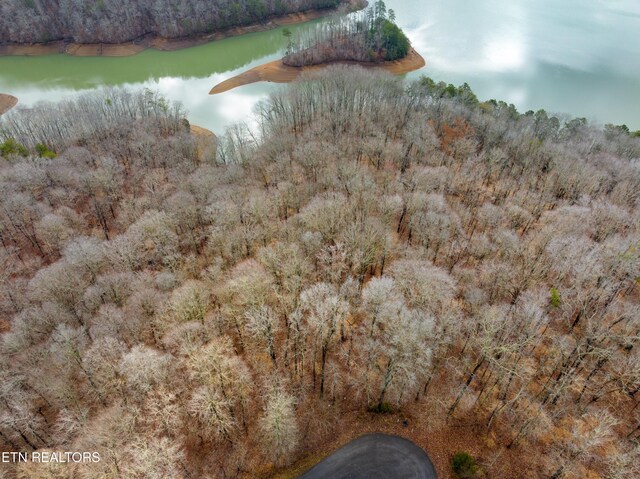 Mystic Star Dr, New Tazewell, TN 37825