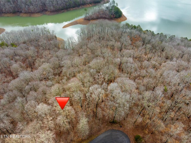 Mystic Star Dr, New Tazewell, TN 37825