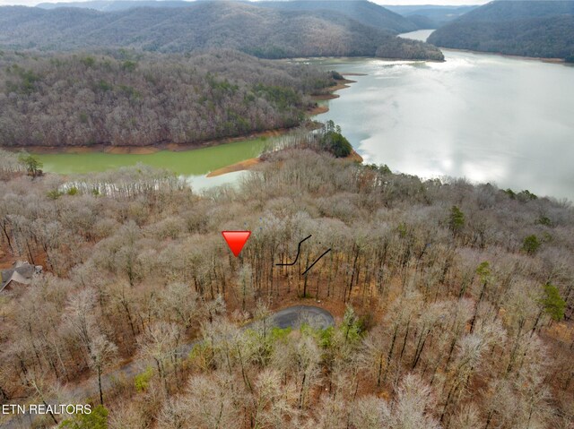 Mystic Star Dr, New Tazewell, TN 37825