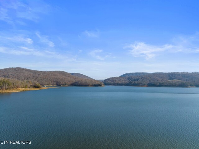 Mystic Star Dr, New Tazewell, TN 37825