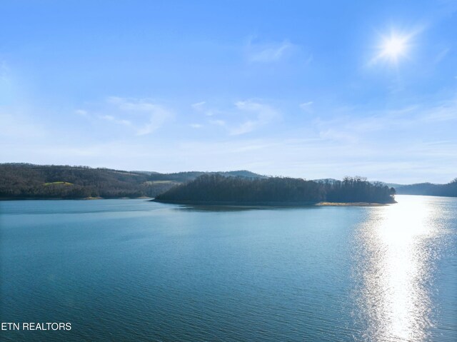 Mystic Star Dr, New Tazewell, TN 37825
