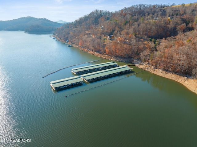 Mystic Star Dr, New Tazewell, TN 37825
