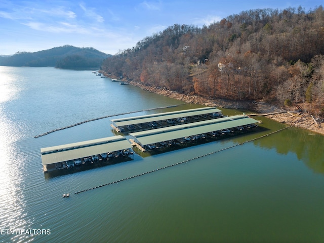 Mystic Star Dr, New Tazewell, TN 37825