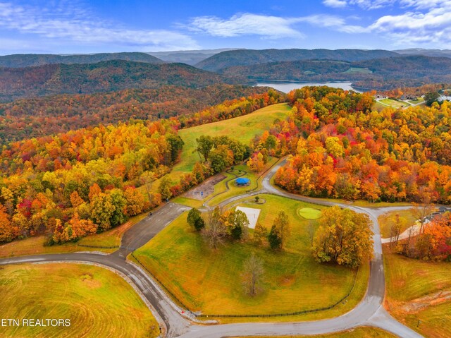 Mystic Star Dr, New Tazewell, TN 37825