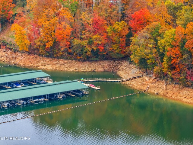 Mystic Star Dr, New Tazewell, TN 37825