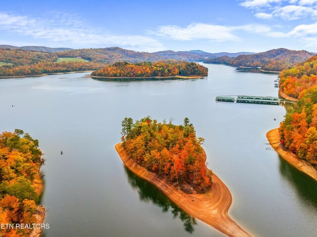 Mystic Star Dr, New Tazewell, TN 37825