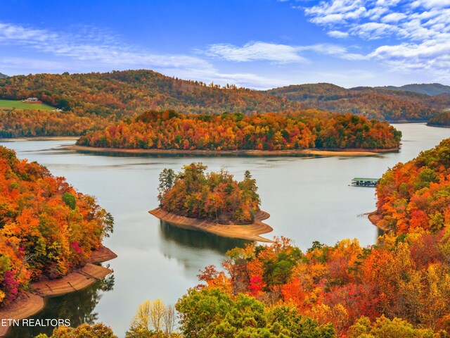 Mystic Star Dr, New Tazewell, TN 37825