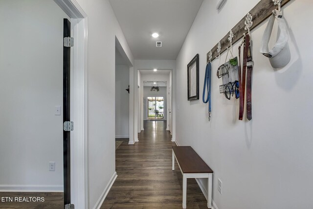 12017 Spearmint Ln, Knoxville, TN 37932 - hallway featuring dark wood finished floors, baseboards, and recessed lighting