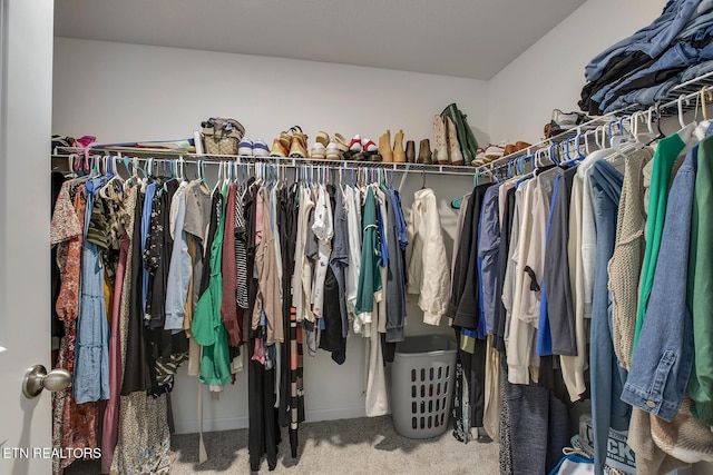 12017 Spearmint Ln, Knoxville, TN 37932 - spacious closet with carpet floors