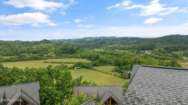 2405 Autumn Valley Way, Pigeon Forge, TN 37862 - bird's eye view of a heavily wooded area