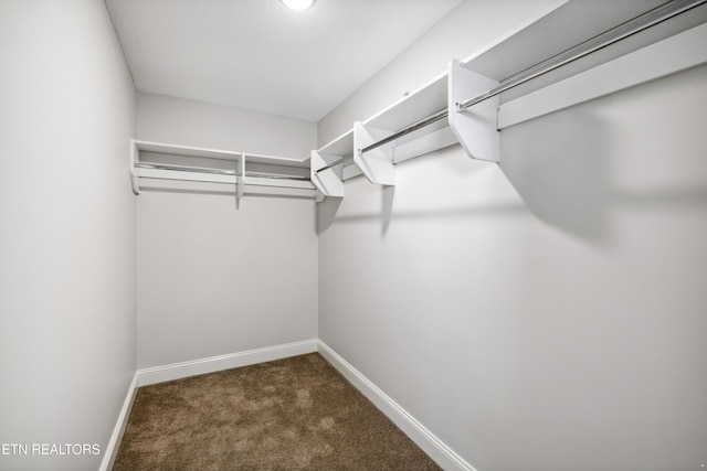 12167 Inglecrest Ln, Knoxville, TN 37934 - spacious closet with carpet floors