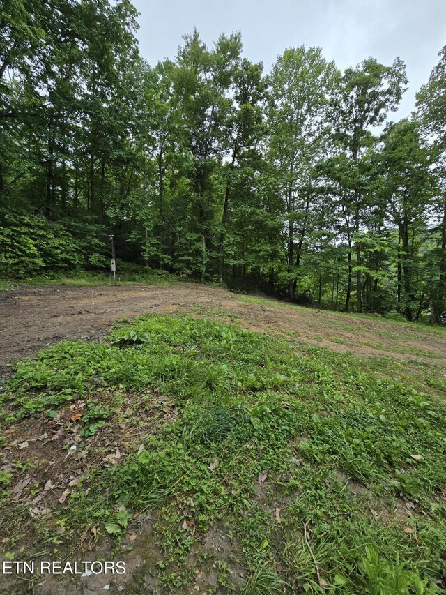 689 Ivey Hollow Rd, Lafollette, TN 37766