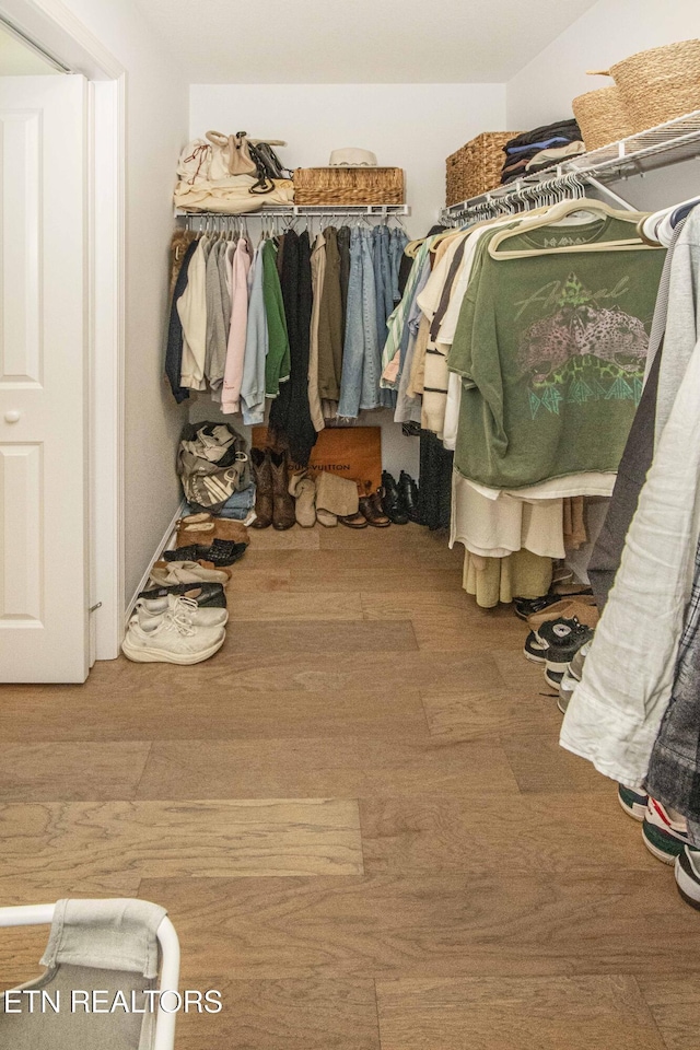 3250 Truitt Path Ln, Knoxville, TN 37931 - walk in closet featuring wood finished floors