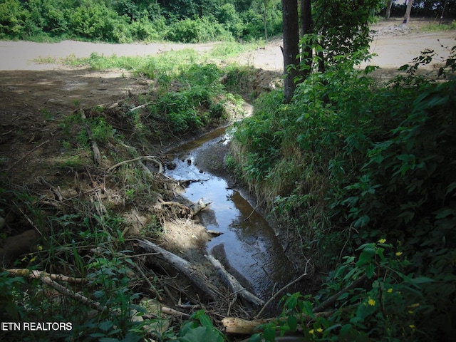 Aaron Davis, Speedwell, TN 37870