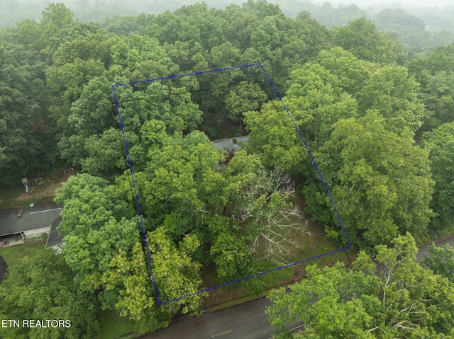 106 Morgan Rd, Oak Ridge, TN 37830 - aerial view of property's location featuring property parcel outlined and a heavily wooded area