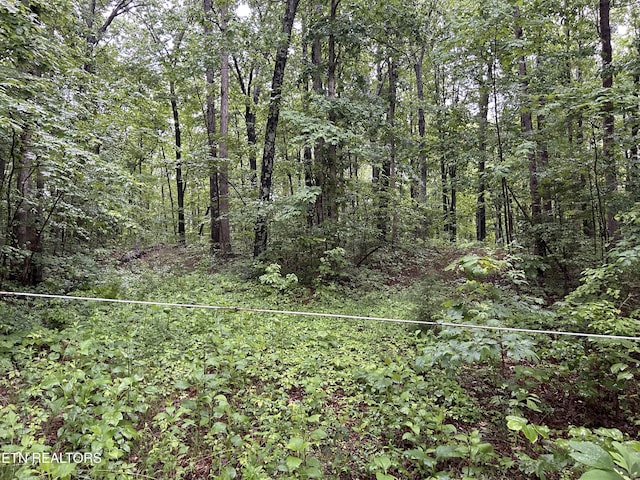 Panther Branch Rd, Jamestown, TN 38556