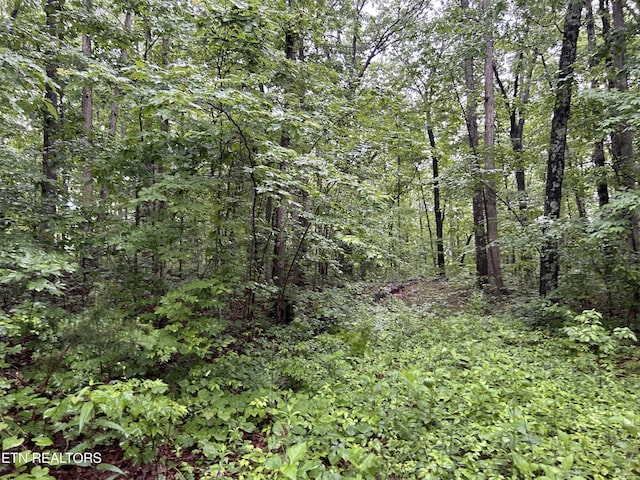 Panther Branch Rd, Jamestown, TN 38556