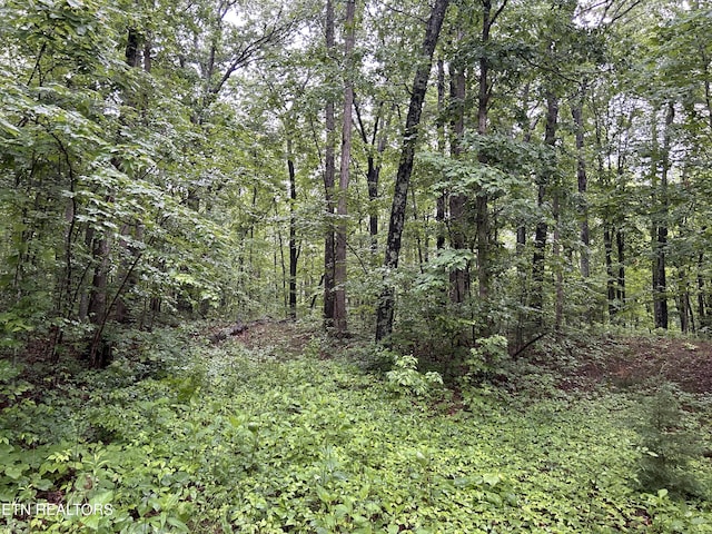 Panther Branch Rd, Jamestown, TN 38556