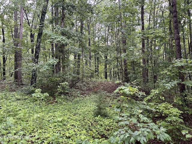 Panther Branch Rd, Jamestown, TN 38556