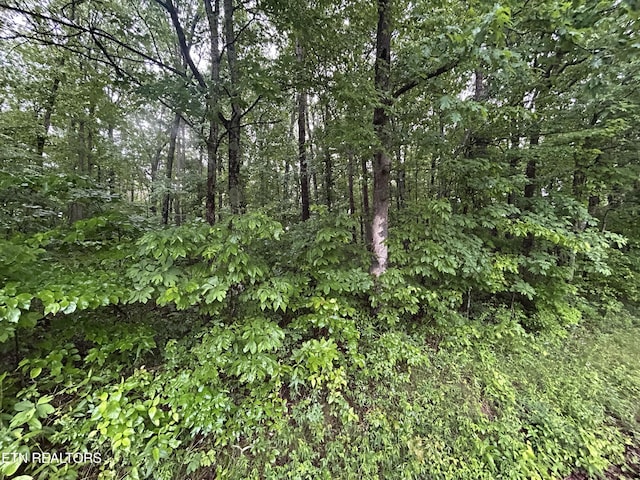 Panther Branch Rd, Jamestown, TN 38556