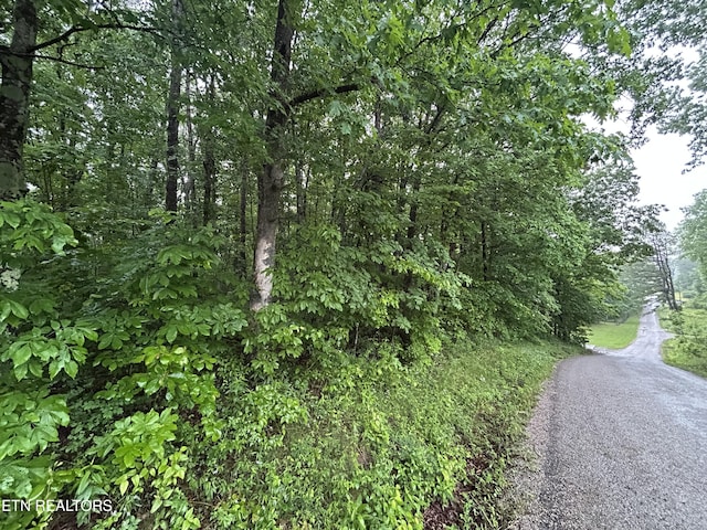 Panther Branch Rd, Jamestown, TN 38556