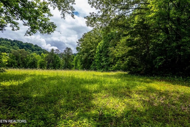 Mullins Way, Maryville, TN 37801