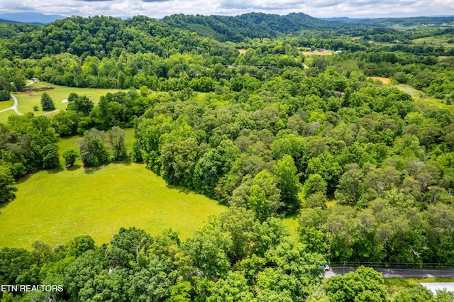 Mullins Way, Maryville, TN 37801