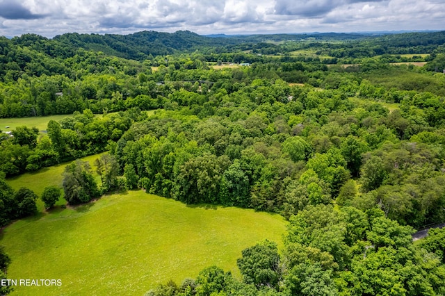 Mullins Way, Maryville, TN 37801