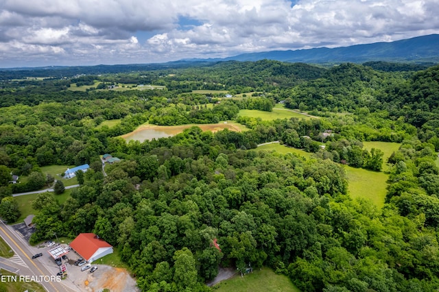 Mullins Way, Maryville, TN 37801