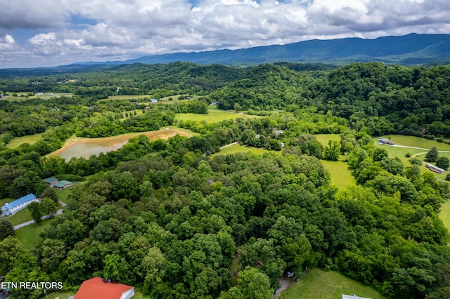 Mullins Way, Maryville, TN 37801
