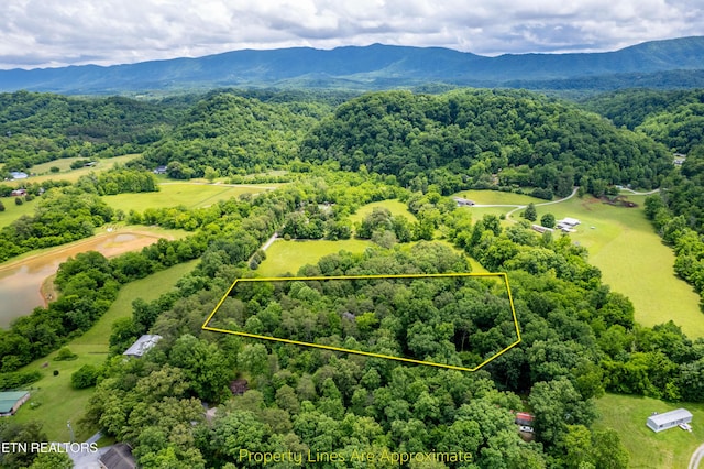 Mullins Way, Maryville, TN 37801