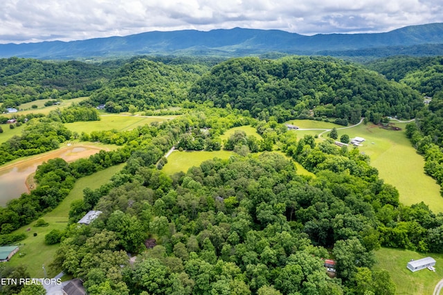 Mullins Way, Maryville, TN 37801