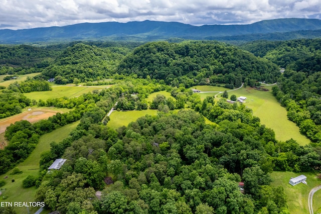 Mullins Way, Maryville, TN 37801