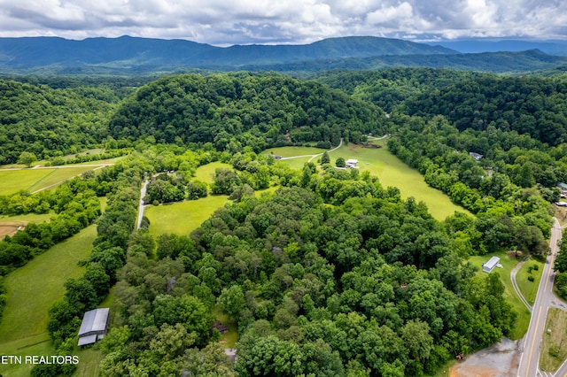 Mullins Way, Maryville, TN 37801