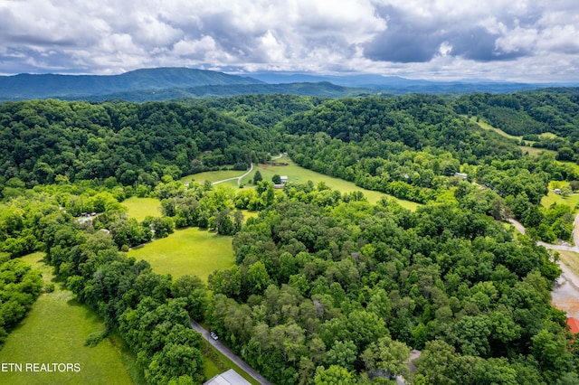 Mullins Way, Maryville, TN 37801